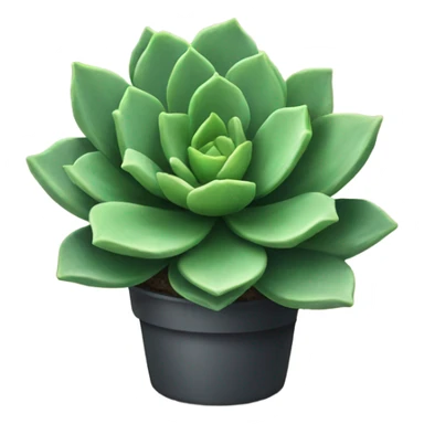 succulent sticker