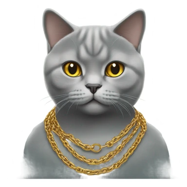 British shorthair cat with a gold chain sticker