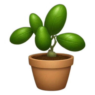 avocado-houseplant-in-pot sticker