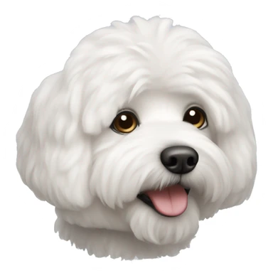Bishon frise dog sticker