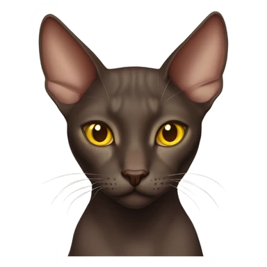 Chocolate oriental cat with yellow eyes sticker
