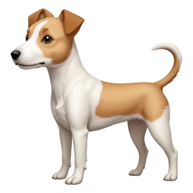 a full body facing front on of a buff white parson russell terrier looking dog the size of a kelpie with light brown long ears resting on its face and a light brown patch above one eye and a large snout. the rest of the dog is completely white.  sticker