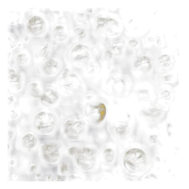 Share button  sticker