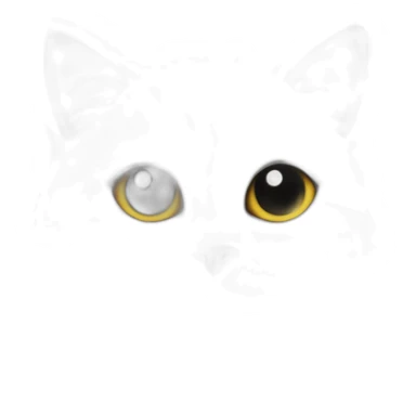 Cat love star Black sticker