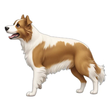 agility Aussie dog sticker