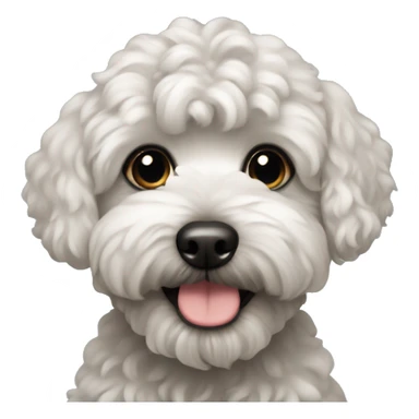 A black maltipoo sticker
