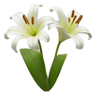 Slider lilies sticker