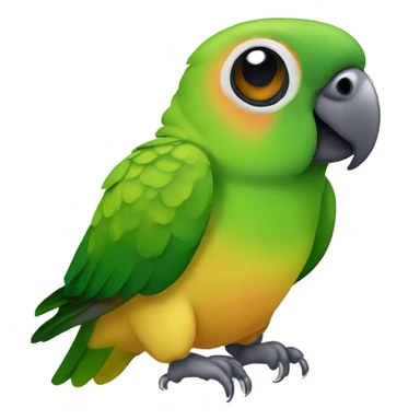 Green cheeked conure  sticker