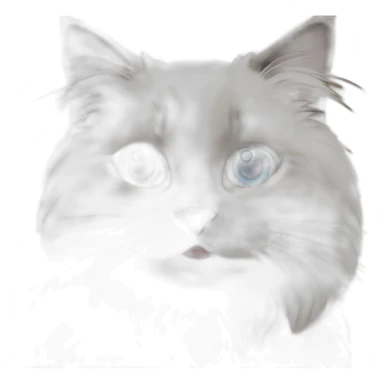 smiling ragdoll cat with blue eyes sticker