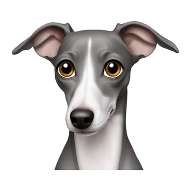 Italian greyhound grey sticker