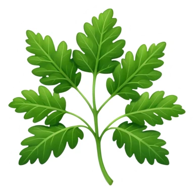 Cilantro  sticker