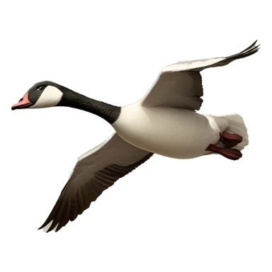 Geese flying sticker