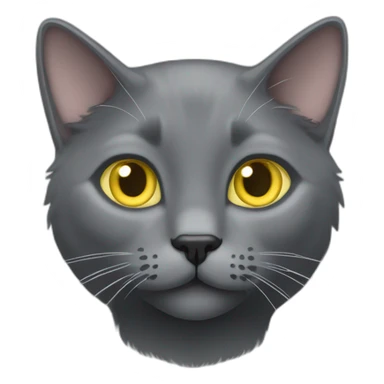 cuddly fluffy grey korat breed cat with yellow eyes black pupils, walking and playing female sticker