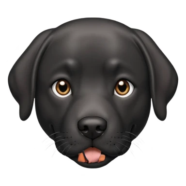 Black adult Labrador with grey on face sticker