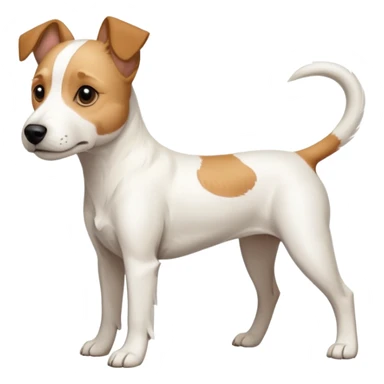 a full body facing front on of a buff white parson russell terrier looking dog the size of a kelpie with light brown long ears resting on its face and a light brown patch above one eye and a large snout. the rest of the dog is completely white.  sticker