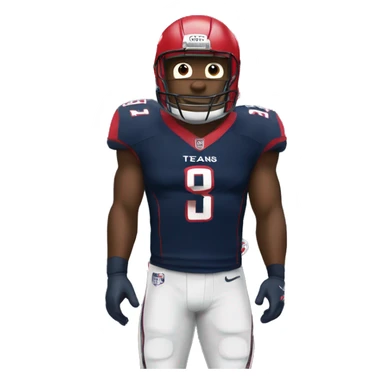 HOUSTON TEXANS sticker