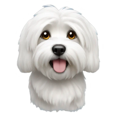 coton de tulear sticker