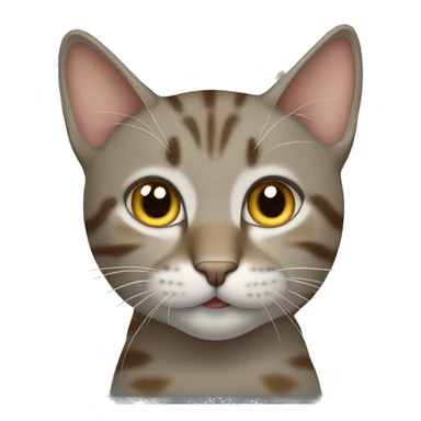 Tabby cat that’s brown with grey  sticker