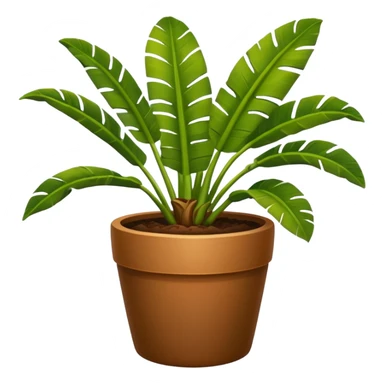 Potted plant, the potted plant contains banana leaves sticker