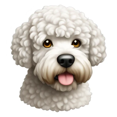 Can you make a white lagotto? sticker