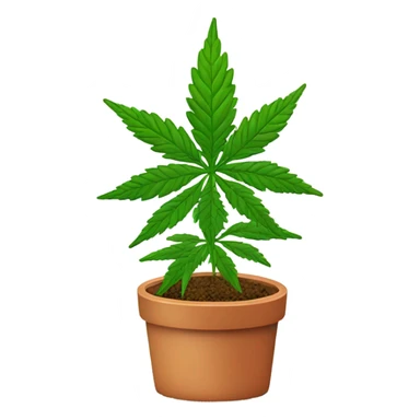 Marijuana plant with person red head sticker