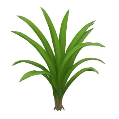 Flatspike sedge sticker