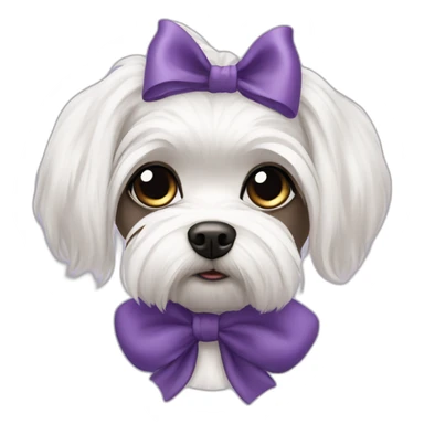 Maltese dog, black iris, dark iris of the eyes, female with a hair bow sticker