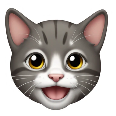 Crazy kitten sticker