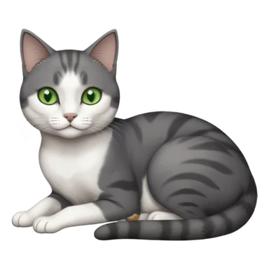 full body tiny short hair dark grey and white cat with white front legs and green eyes lying down sticker