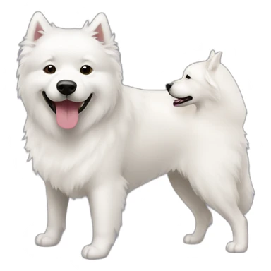 samoyed and black lab playing sticker