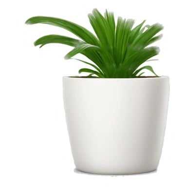 a spider plant in a white plant pot sticker