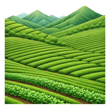 green tea farm sticker
