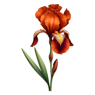 single Copper Red Iris, straight stem sticker