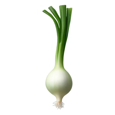 scallion  sticker
