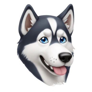 Blue eyed husky in Thailand  sticker