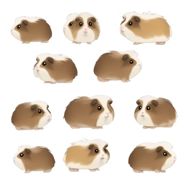 Gray and beige fluffy abyssinian guinea pig  sticker