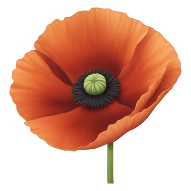 Poppy flower sticker