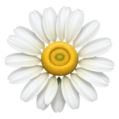 chamomile sticker
