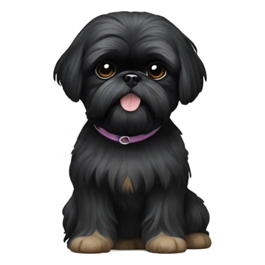Black Shih tzu as  sticker