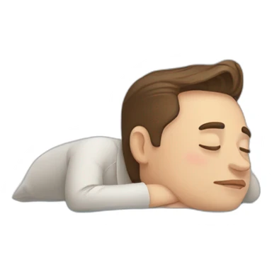 elon musk sleeping sticker