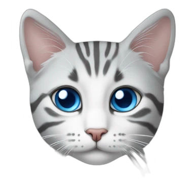 white and gray tabby cat with blue eyes and a round head sticker