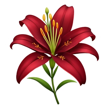 A lily flower in a dark cherry red colour sticker