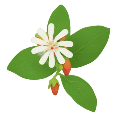 ashwagandha with flower sticker