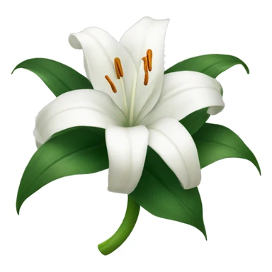 White lillies witha ribbon sticker