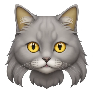 grey fluffy british long hair cat with yellow eyes cuteer without furr in the ears sticker
