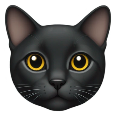 Black British short hair cat sticker