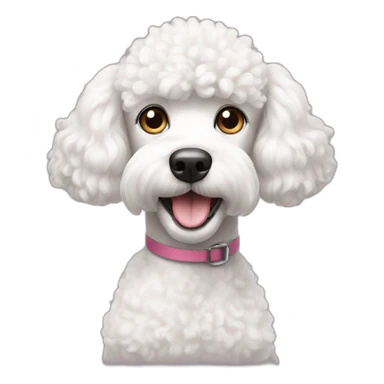 a white poodle dog with cute eyes looking at screen sticker