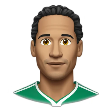 van dijk sticker