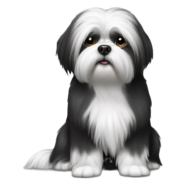 Black and white Lhasa apso dog on couch sticker