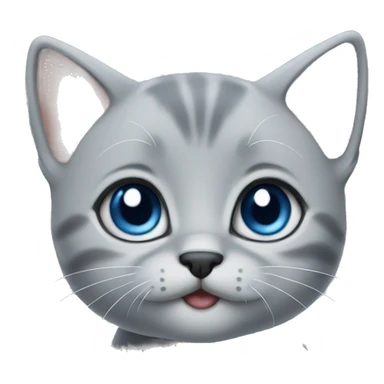 blue eyes grey kitten, poo sticker